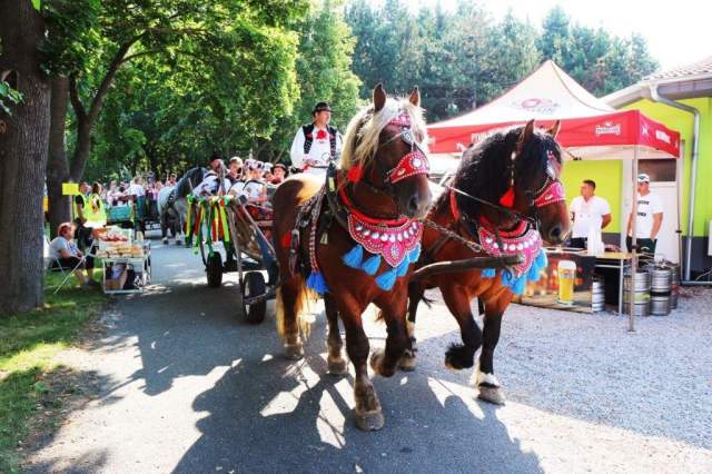 furmanske_preteky2019_02